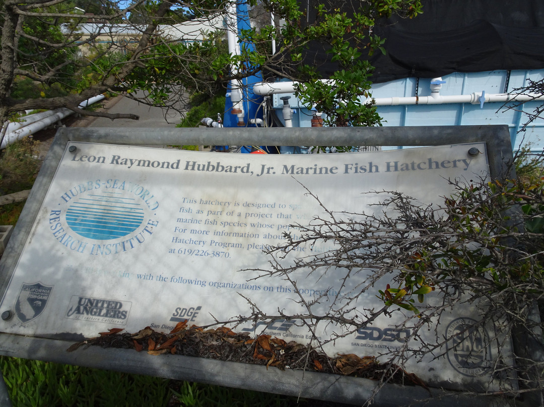 Agua Hedionda Lagoon Discovery Center-卡尔斯巴德必去景点