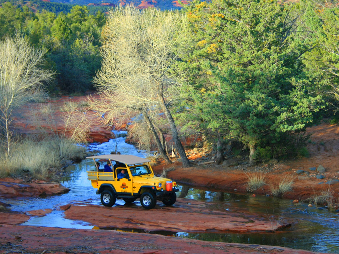 A Day in the West Jeep Tours景点图片