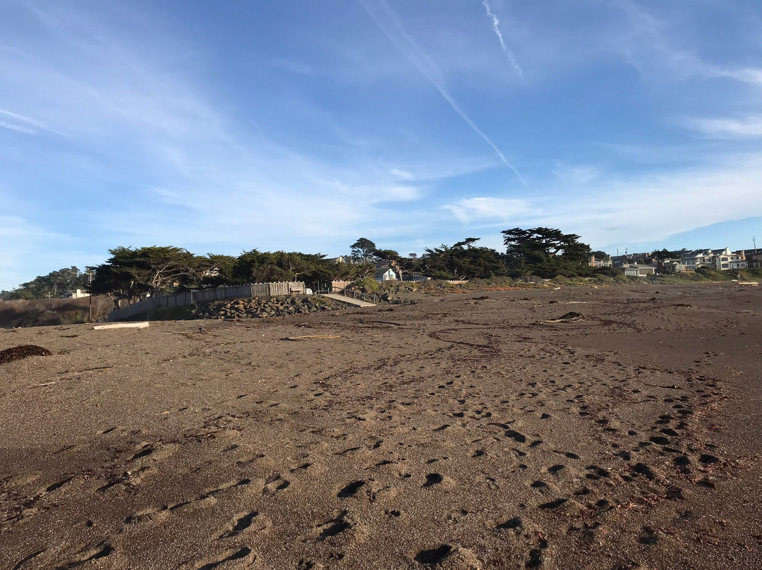 Shamel Park-坎布里亚必去景点
