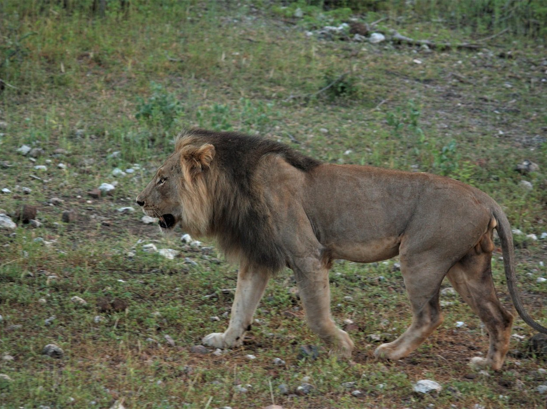 Tambuzi Safaris-霍德斯普鲁特必去景点