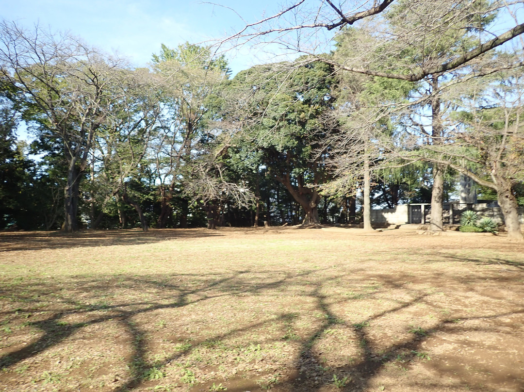Kashiwa Park-柏市必去景点