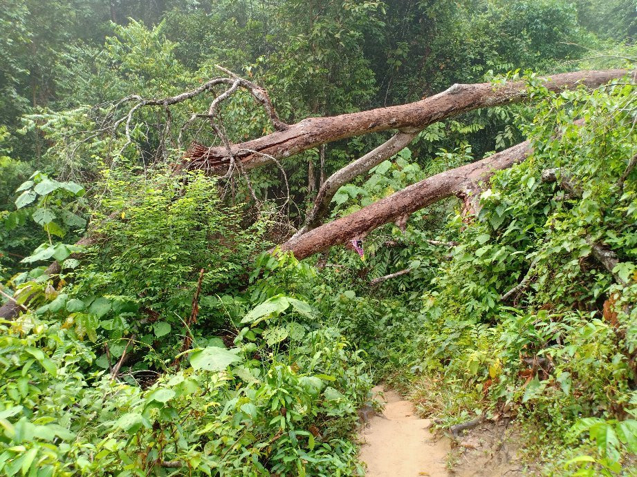 Bukit Mor-Parit Jawa必去景点