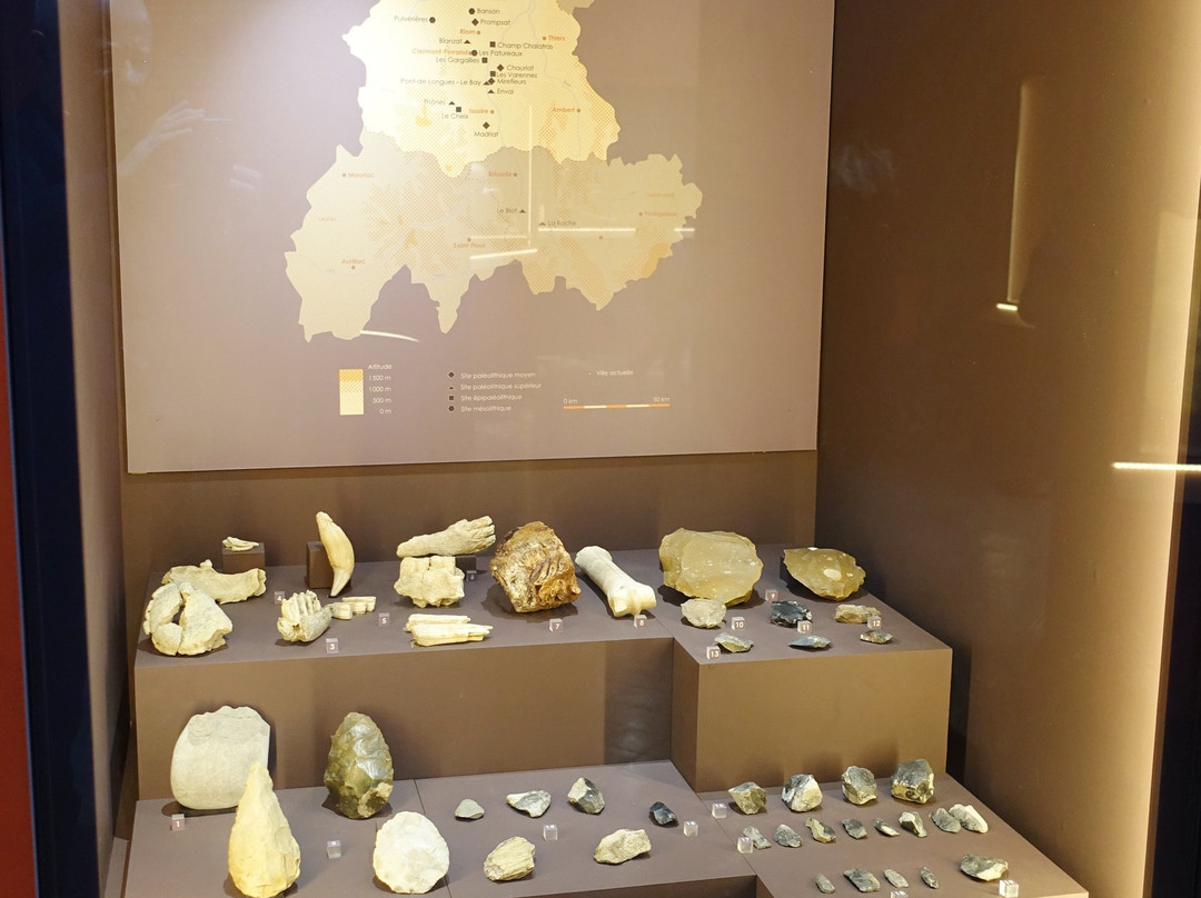 Musee Bargoin景点图片
