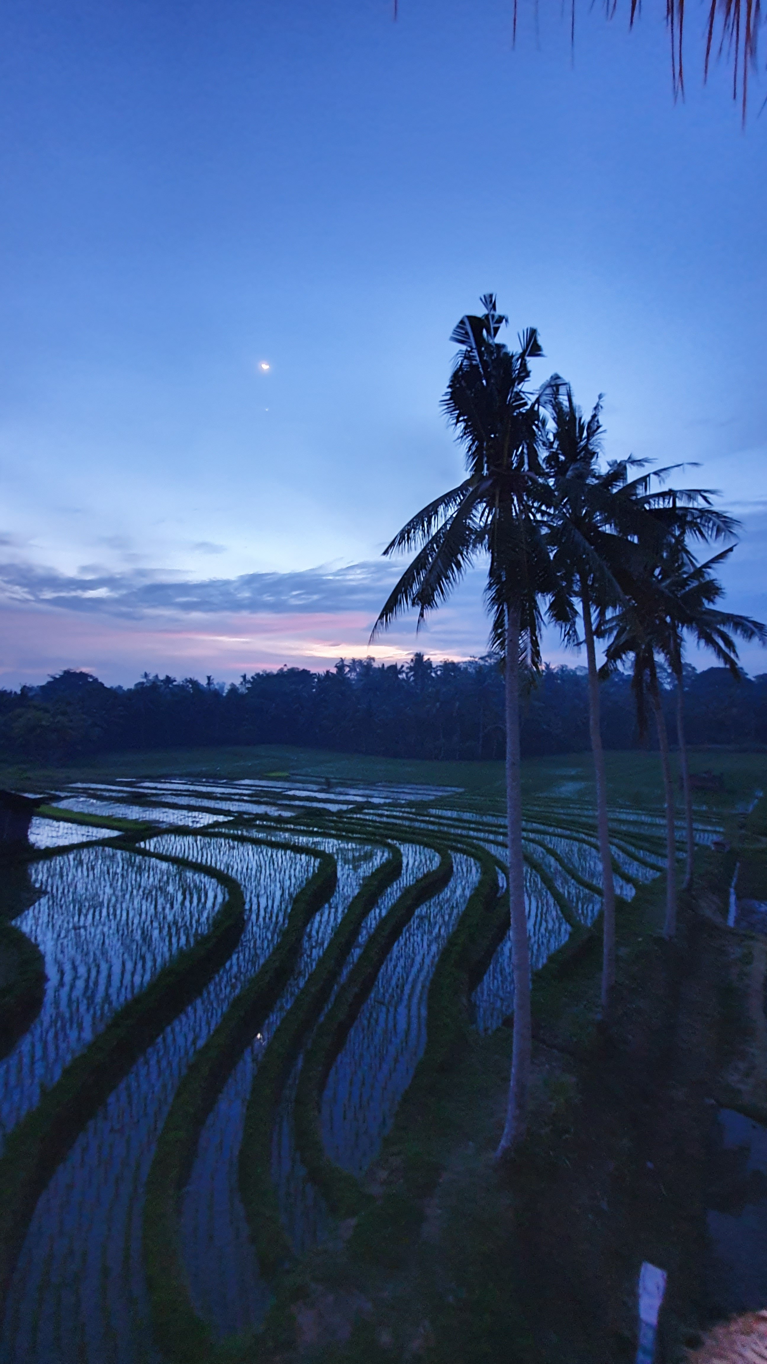 Coco Verde Bali Resort-酒店景观