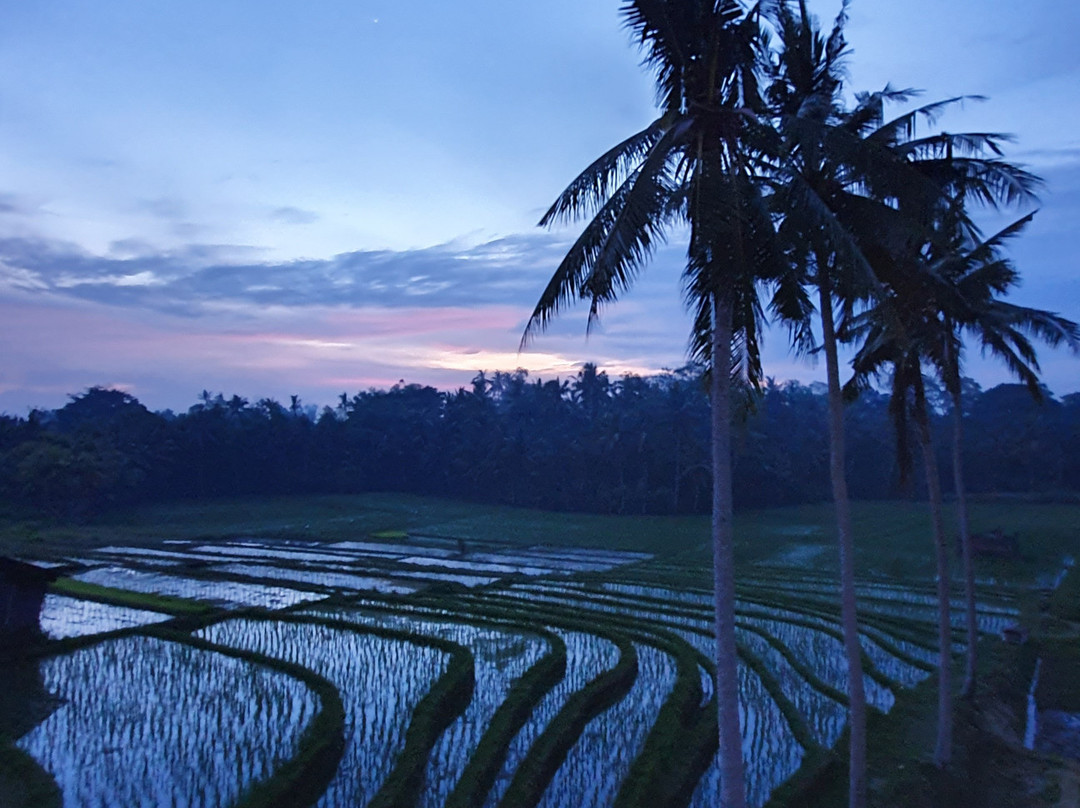 Coco Verde Bali Resort主图