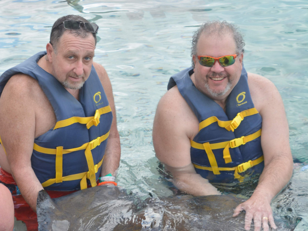 Dolphin Encounters-拿骚必去景点