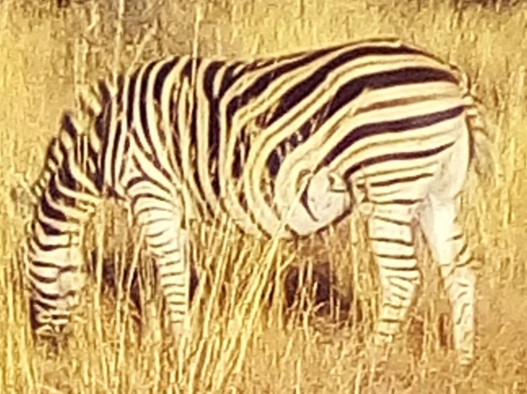 KML Shuttle Services-桑顿必去景点