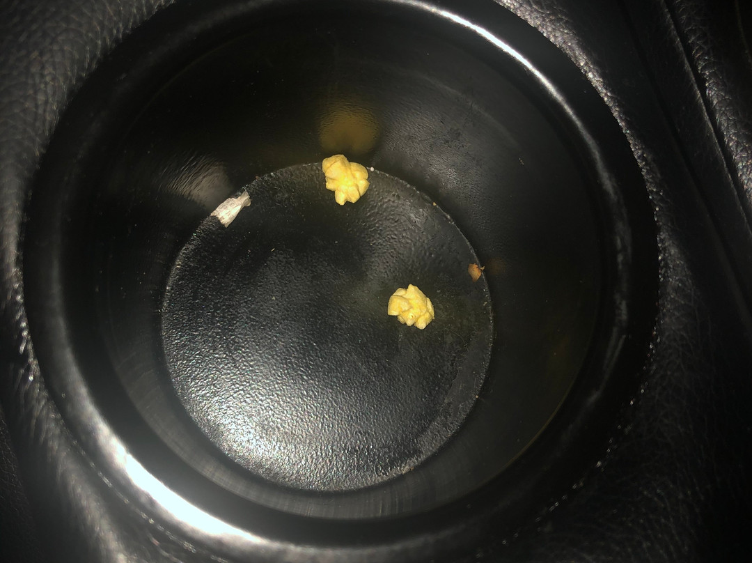 Rave Cinemas-Huber Heights必去景点