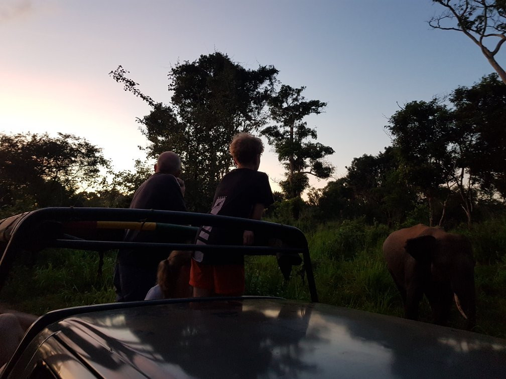 Best safaris- camping/birdwatching/safaris-哈巴拉娜必去景点
