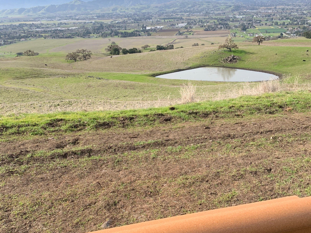Coyote Lake Harvey Bear Ranch County Park-吉尔罗伊必去景点