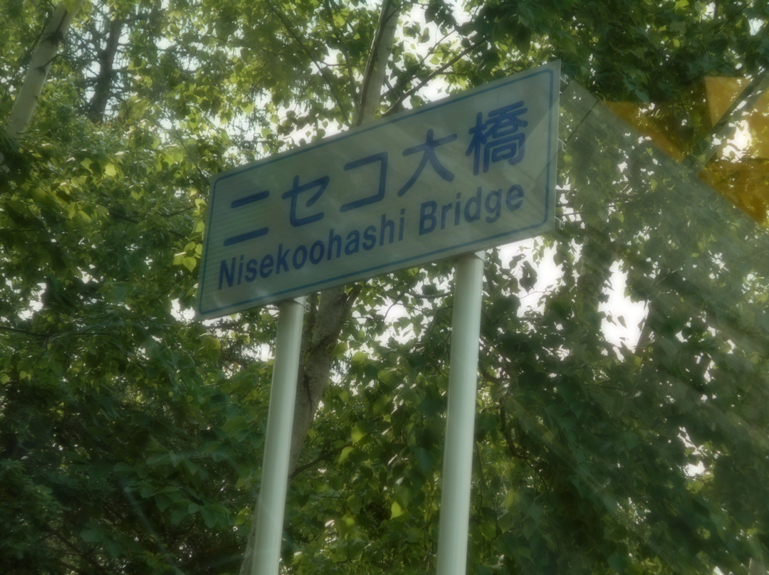Niseko Ohashi Bridge景点图片