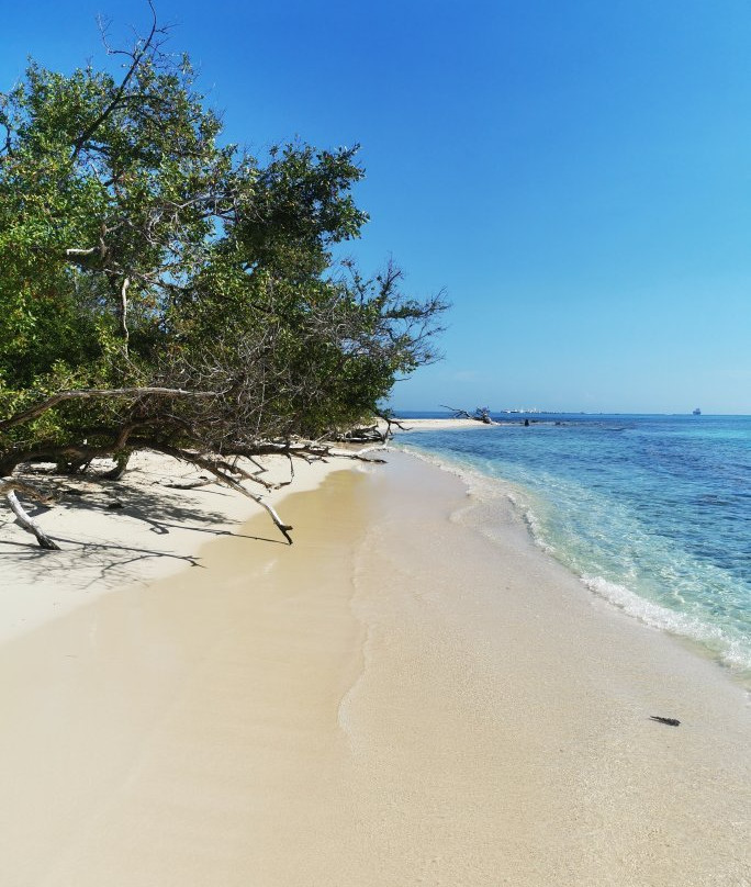 Lime Cay-金斯敦必去景点