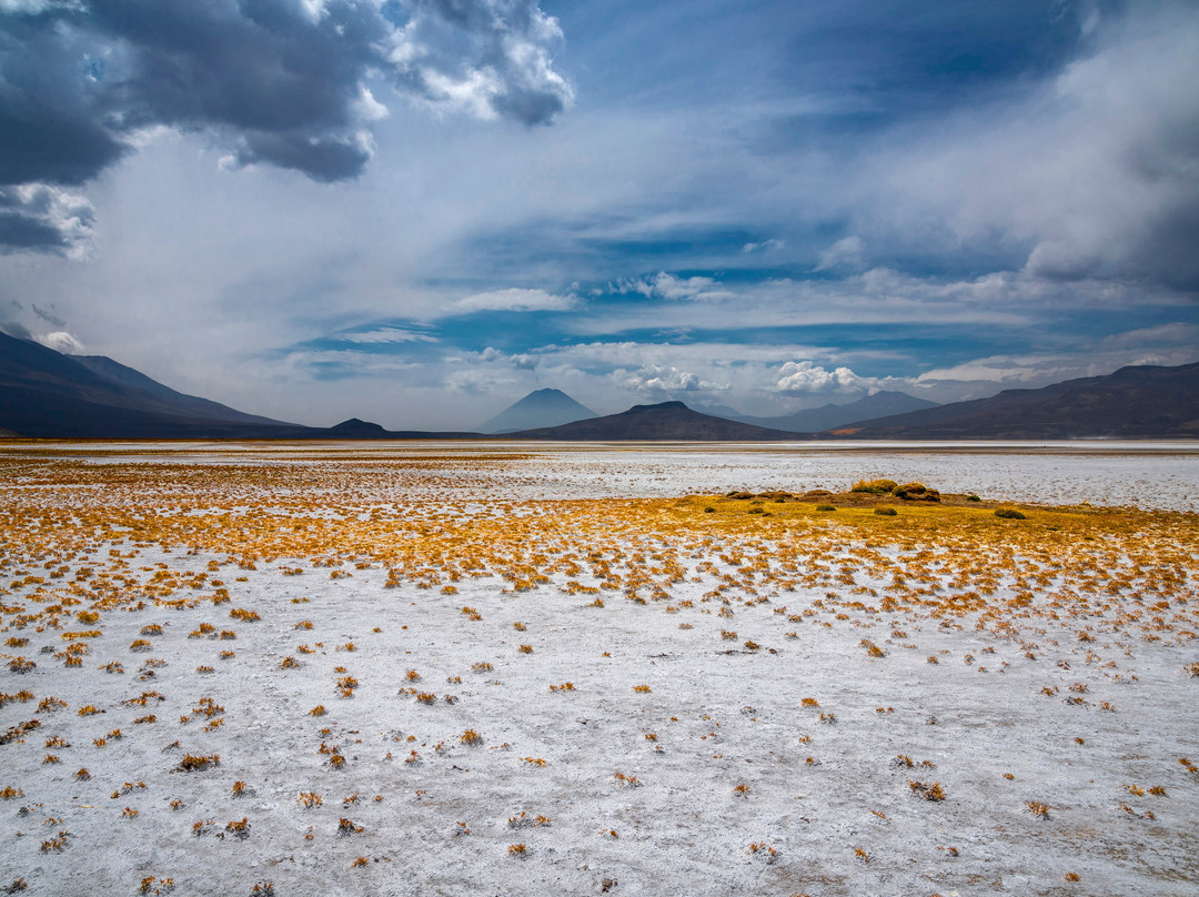 Peru Nat Red景点图片