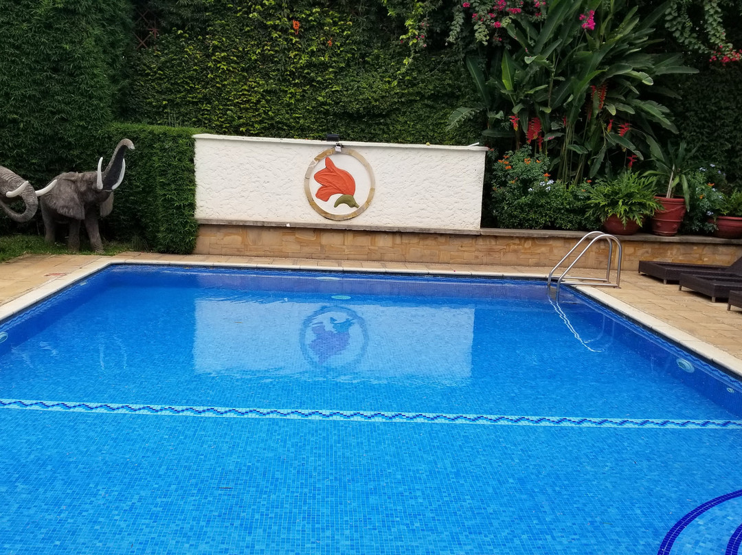 非洲郁金香宾馆主图