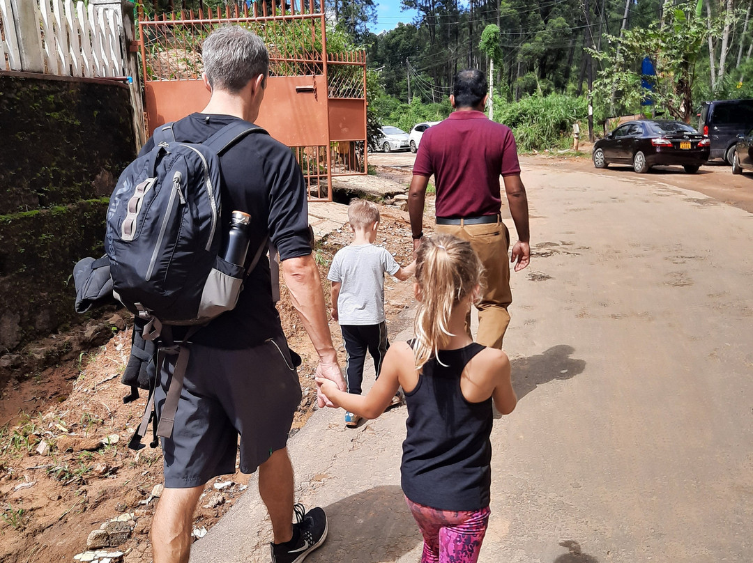 vsa lanka tours-佩拉德尼亚必去景点