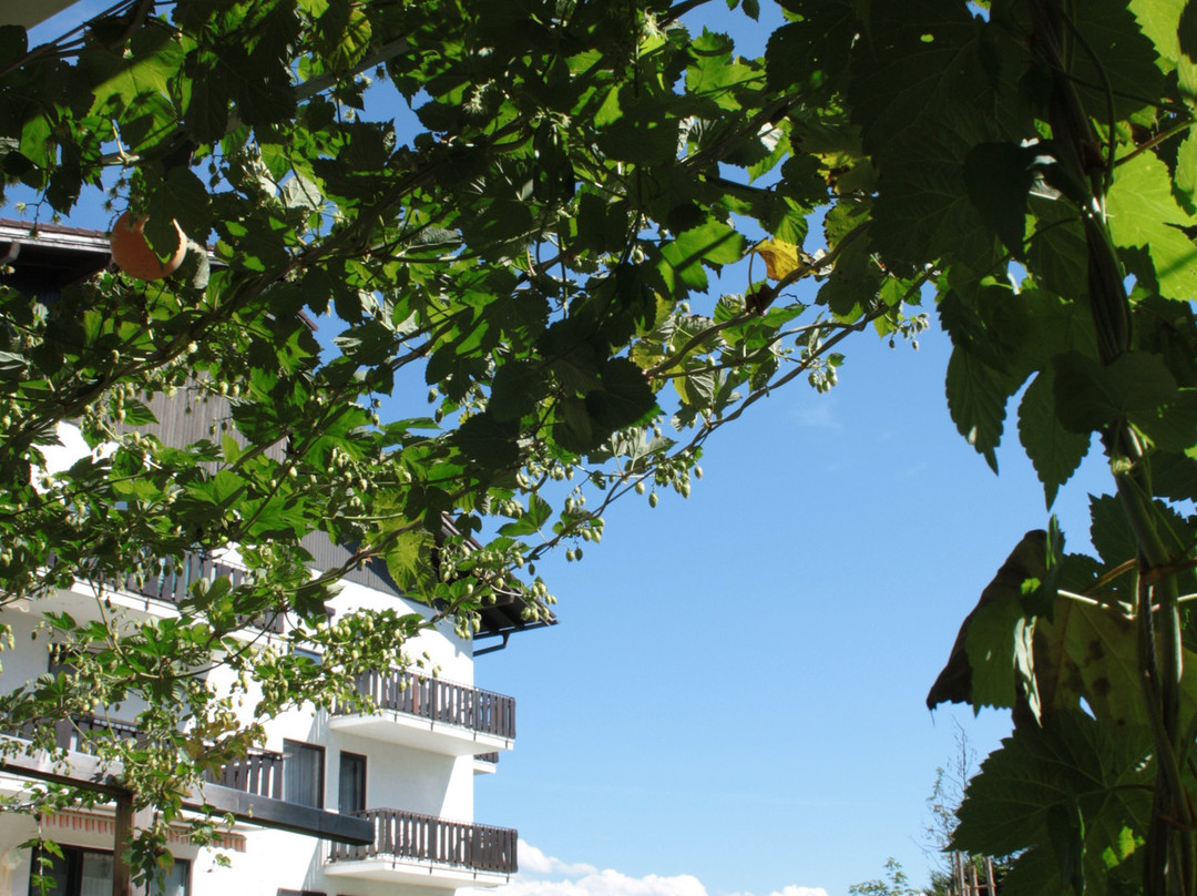 Landhotel Seeg主图