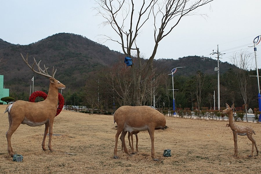 Goheung Buncheong Culture Museum-高兴郡必去景点