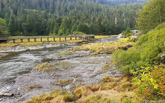 Ketchikan Tours-凯奇坎必去景点