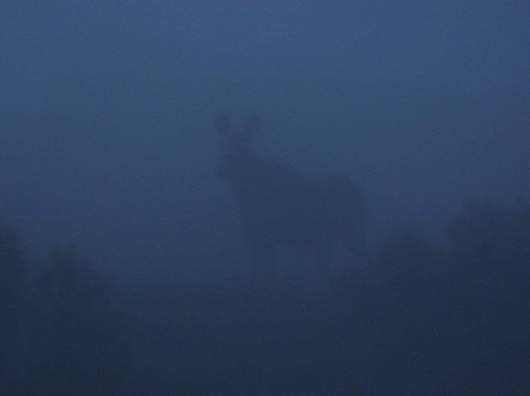 Oestlandet Guide & Fritid-Loten必去景点