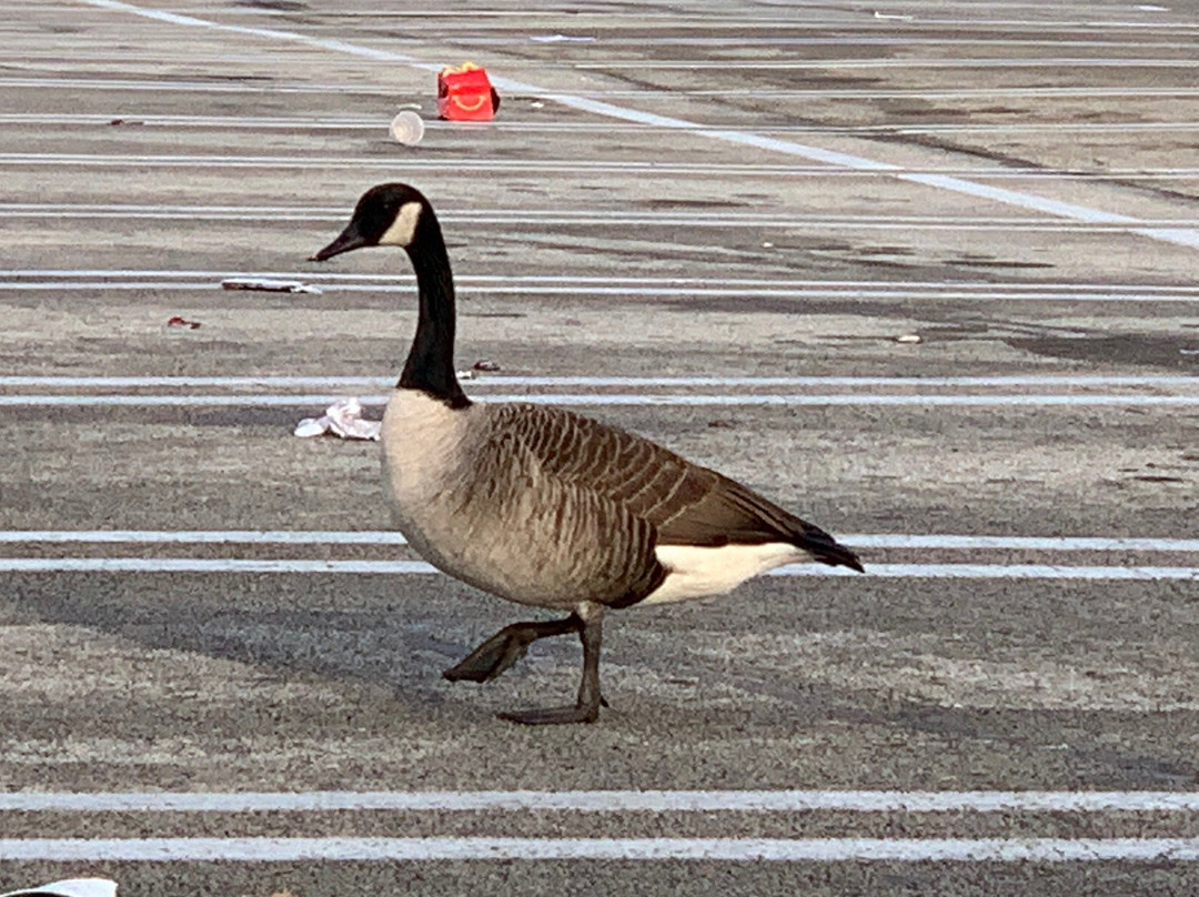 普鲁士王购物中心-普鲁士国王必去景点