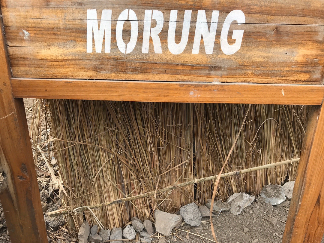 Naga Heritage Village-Kohima必去景点