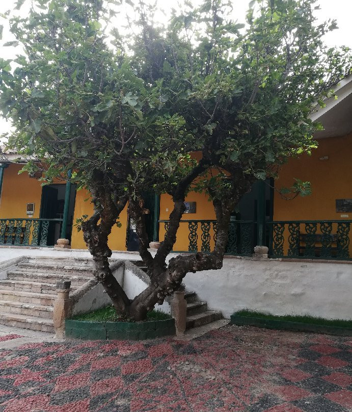 Museo Andres Avelino Caceres-Ayacucho必去景点