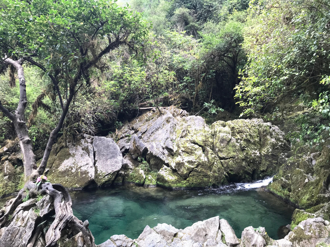 Riwaka Resurgence景点图片