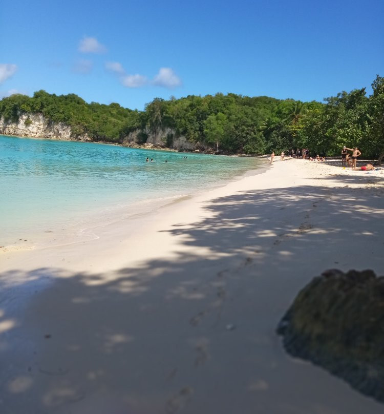 Anse Canot-Marie-Galante必去景点