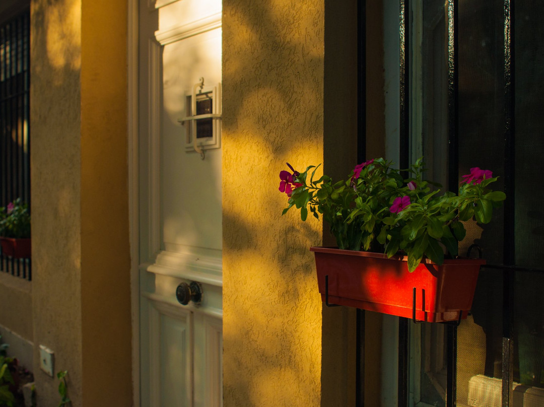 Hostel Casa Borges主图