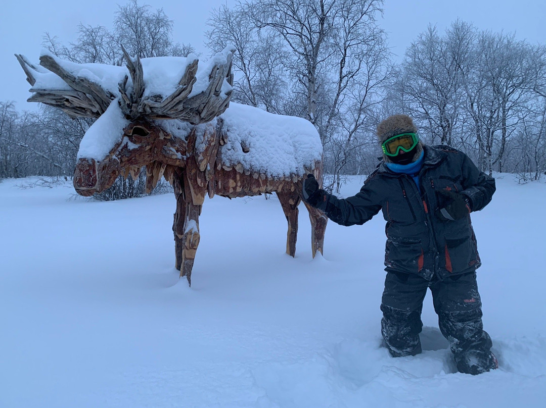 Arctic Tourism Center景点图片