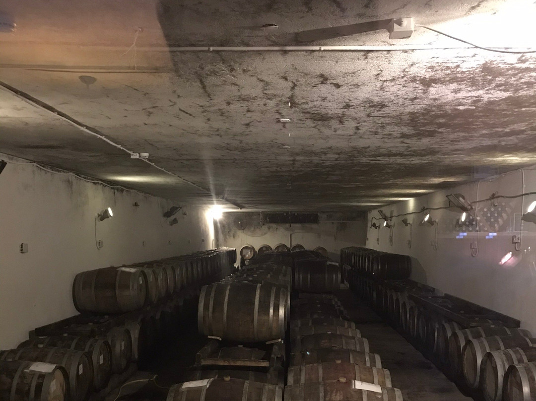 Bazelet HaGolan Winery-Kidmat Tzvi必去景点