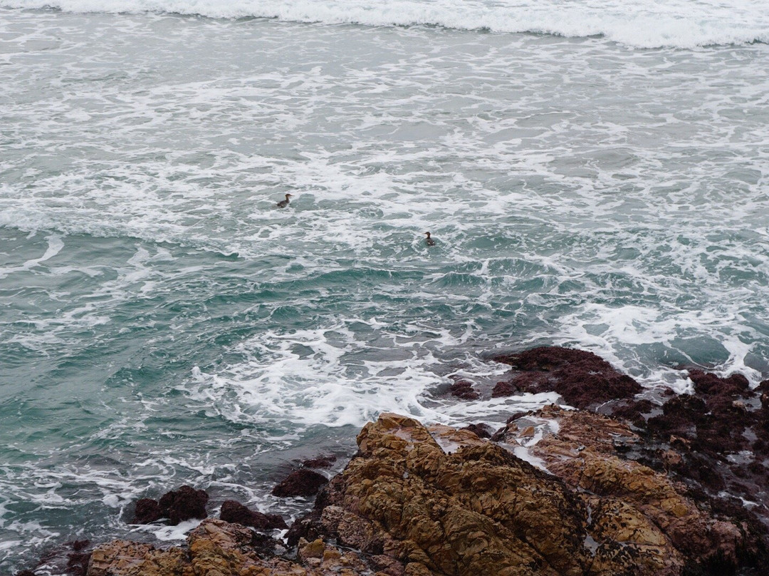 Natsudomari Coast-鸟取市必去景点