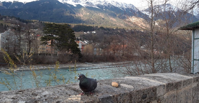 Innbrucke-茵斯布鲁克必去景点