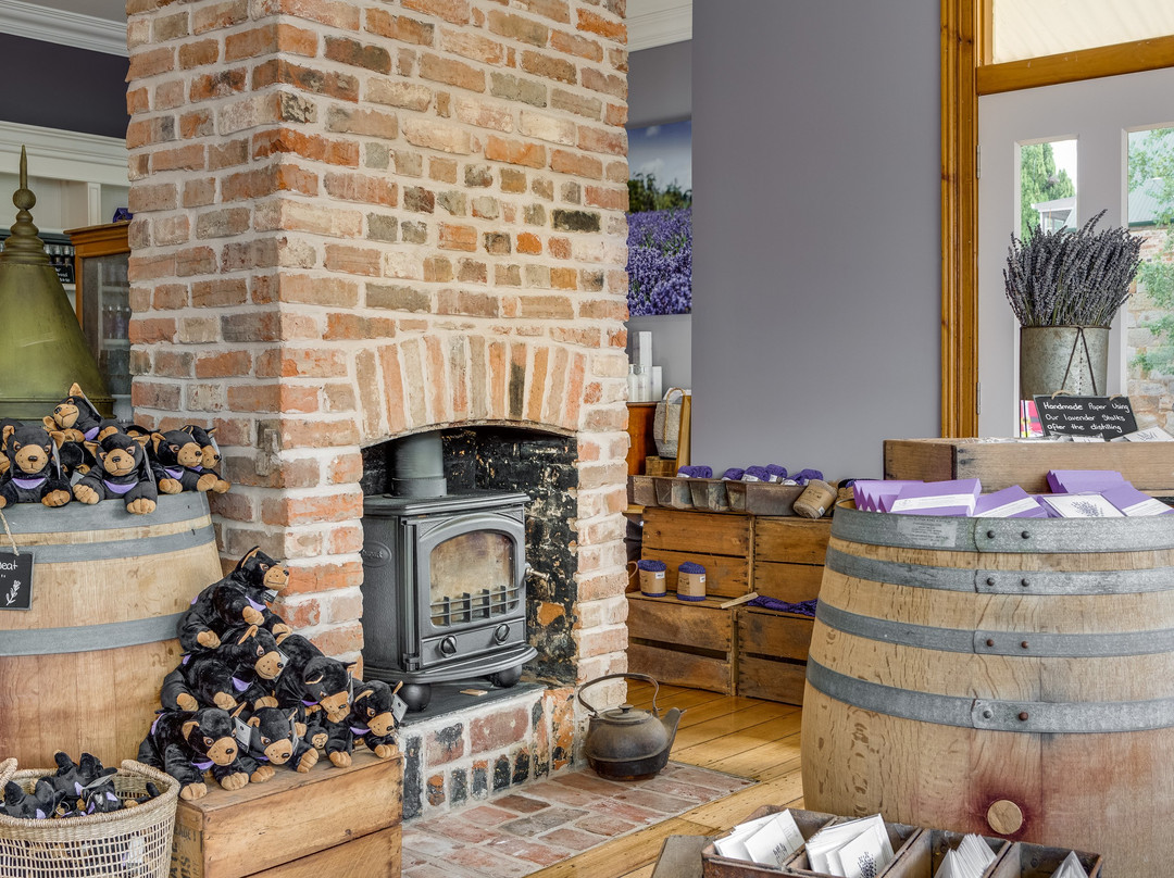 Tasmanian Lavender Company-Richmond必去景点