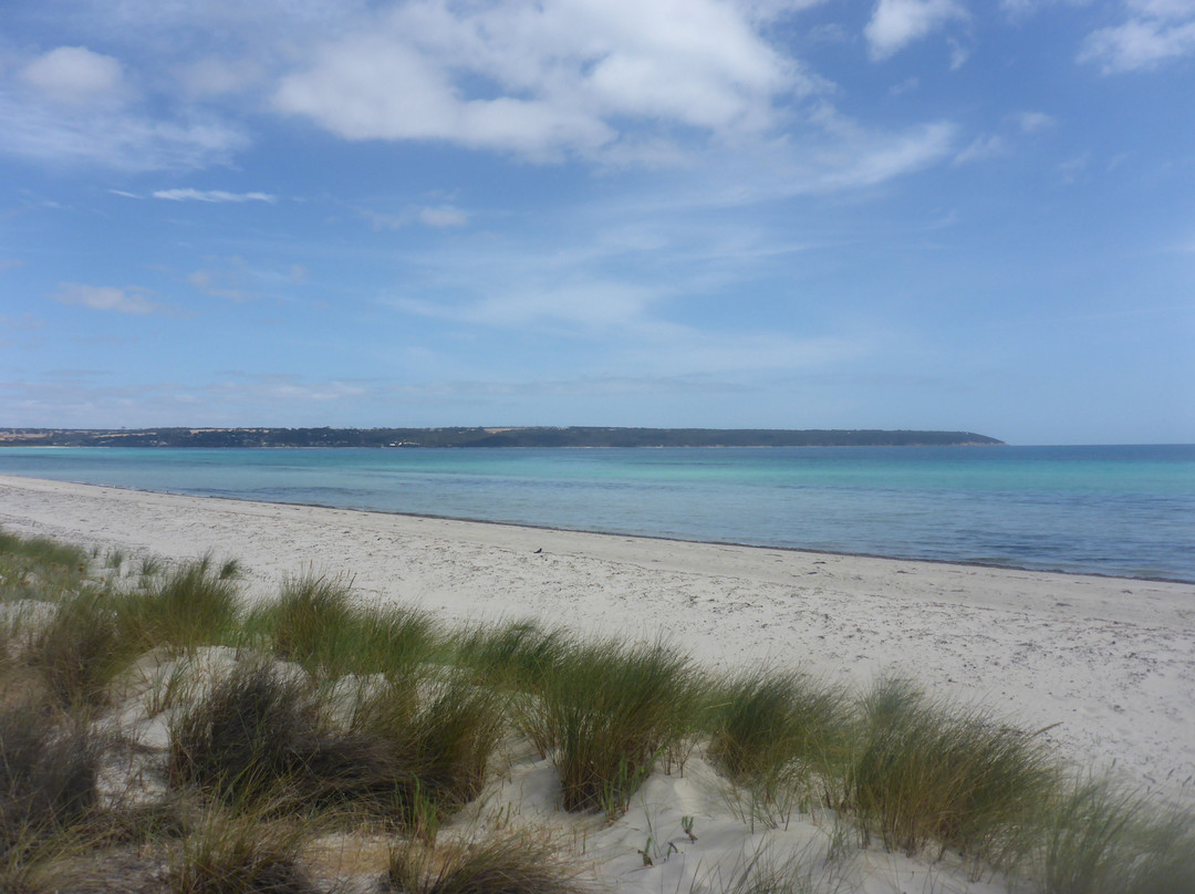 Island Beach-袋鼠岛必去景点