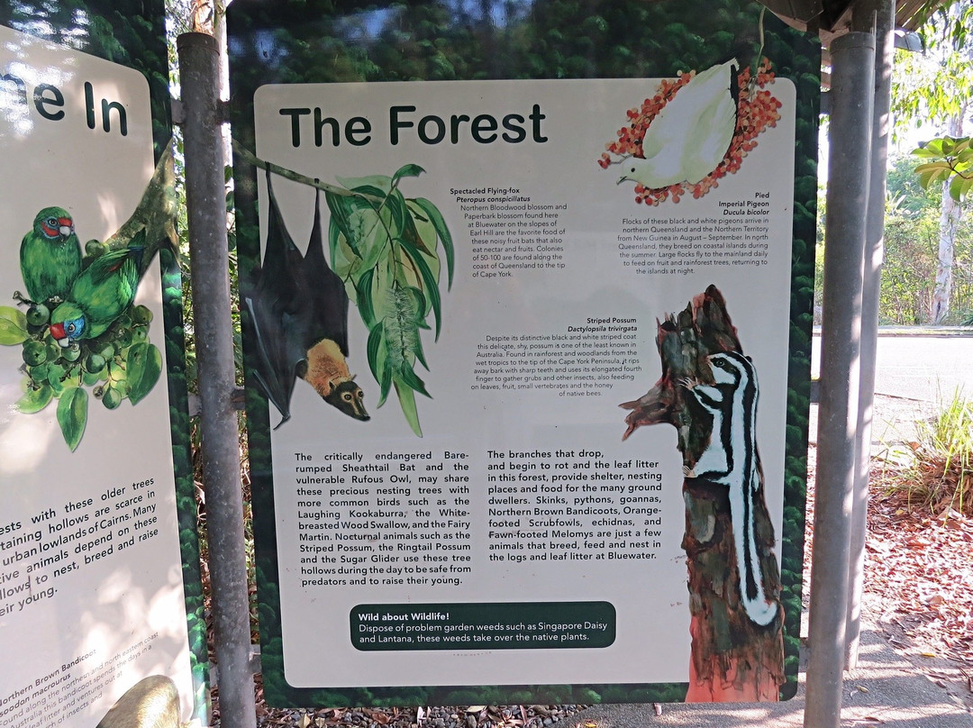 Earl Hill-三一海滩必去景点