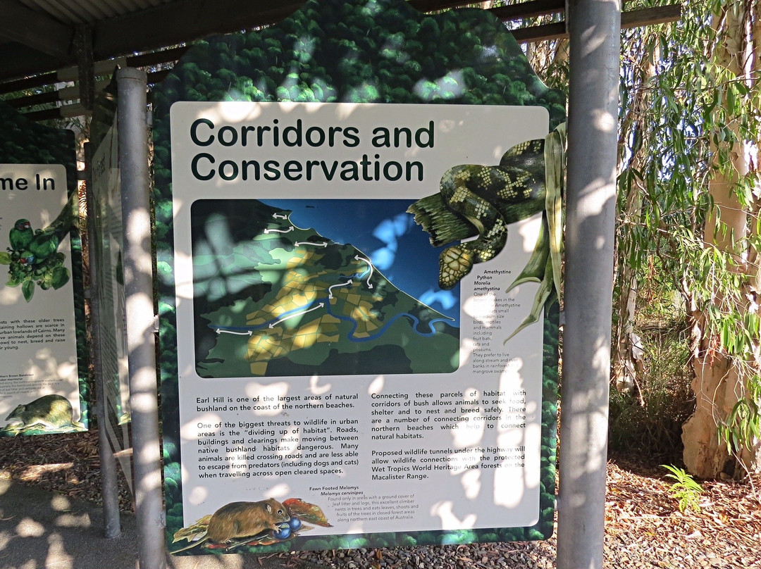 Earl Hill-三一海滩必去景点