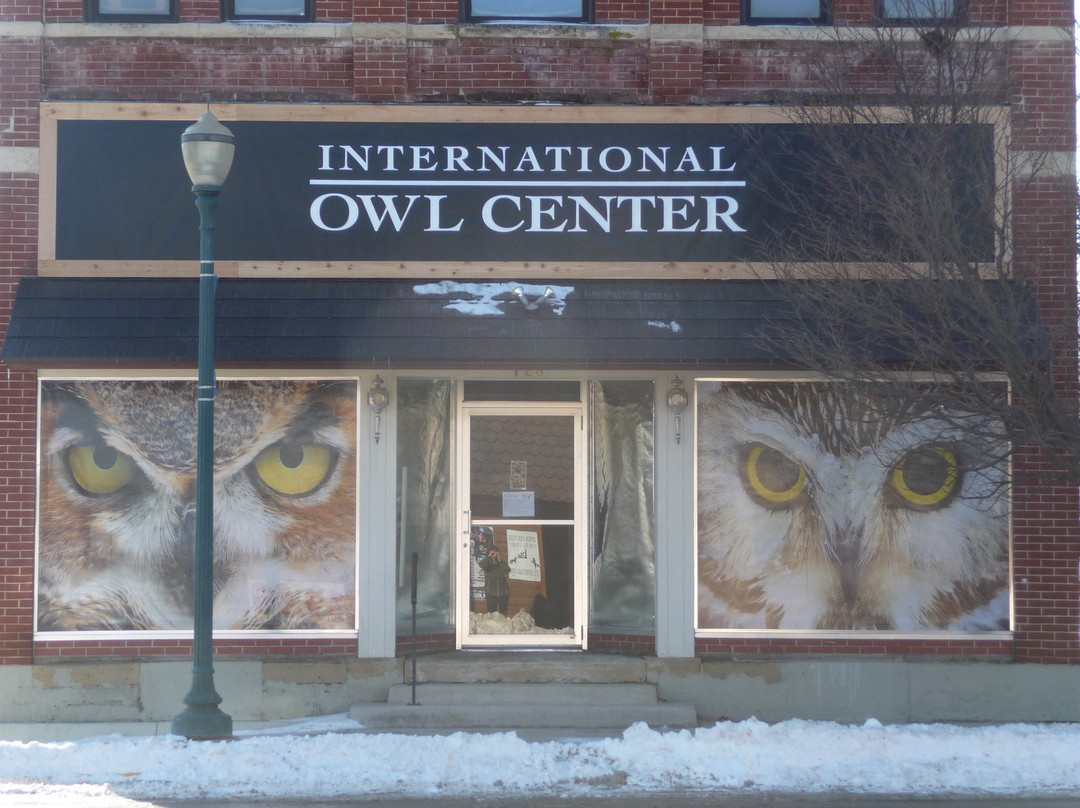 International Owl Center景点图片