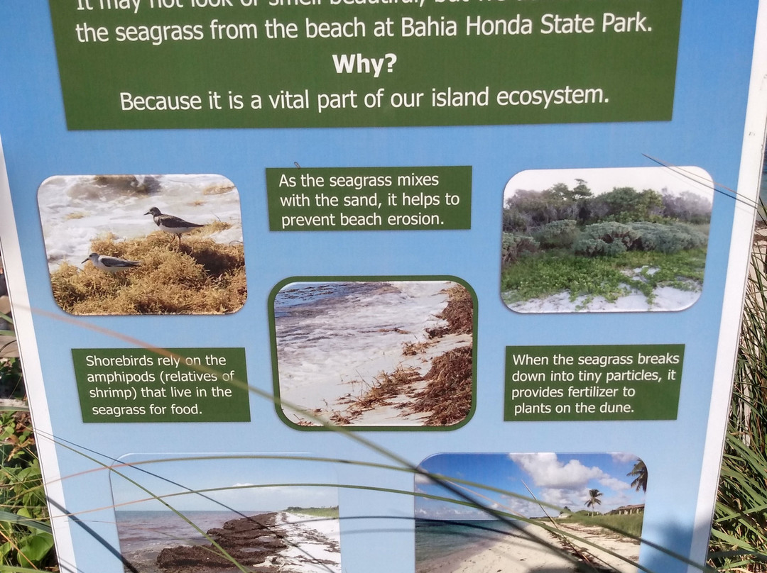 Calusa Beach-Big Pine Key必去景点