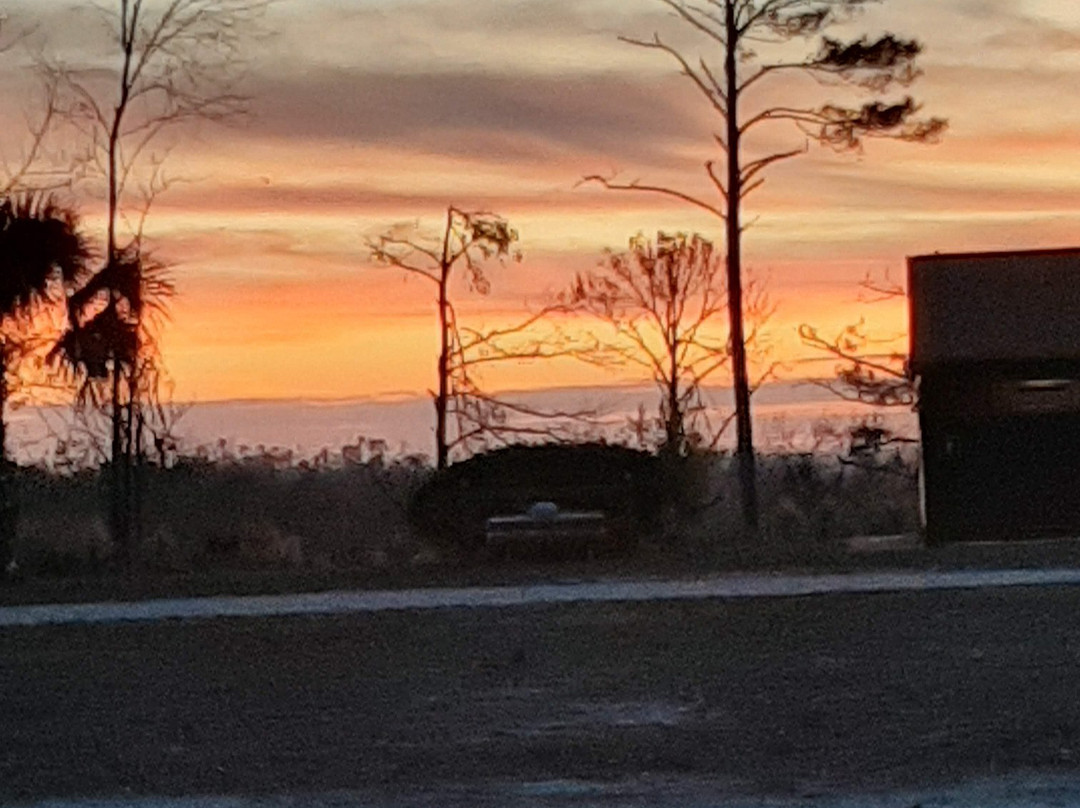 Torreya State Park景点图片