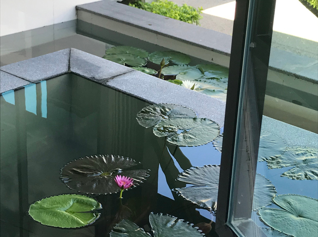 奥勒钻石海滩水疗度假主图