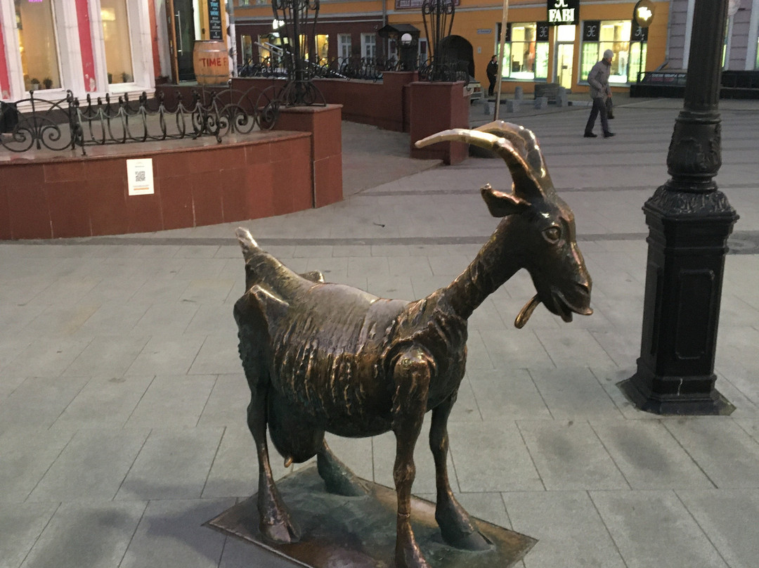 Neskuchny Nizhniy景点图片