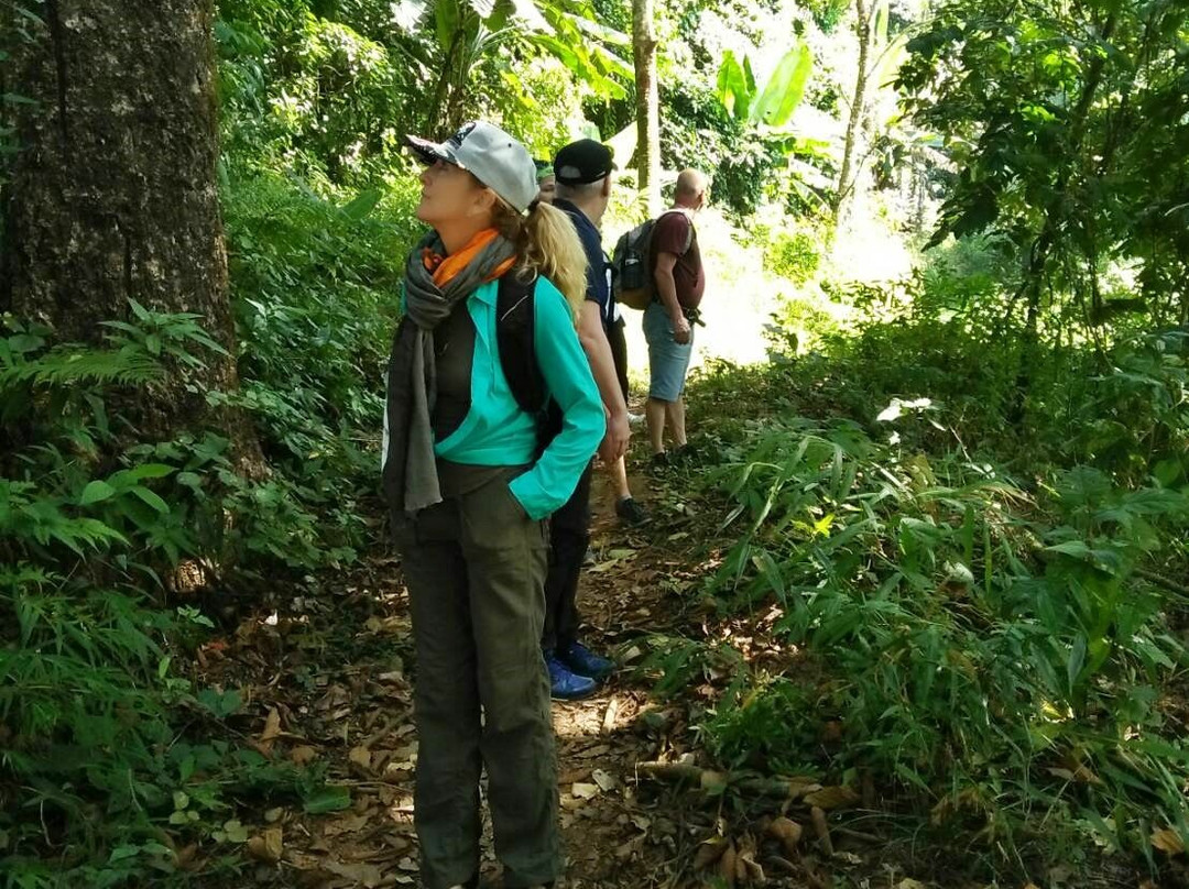 Doi Pui Mong Hill Tribe Village-清迈必去景点