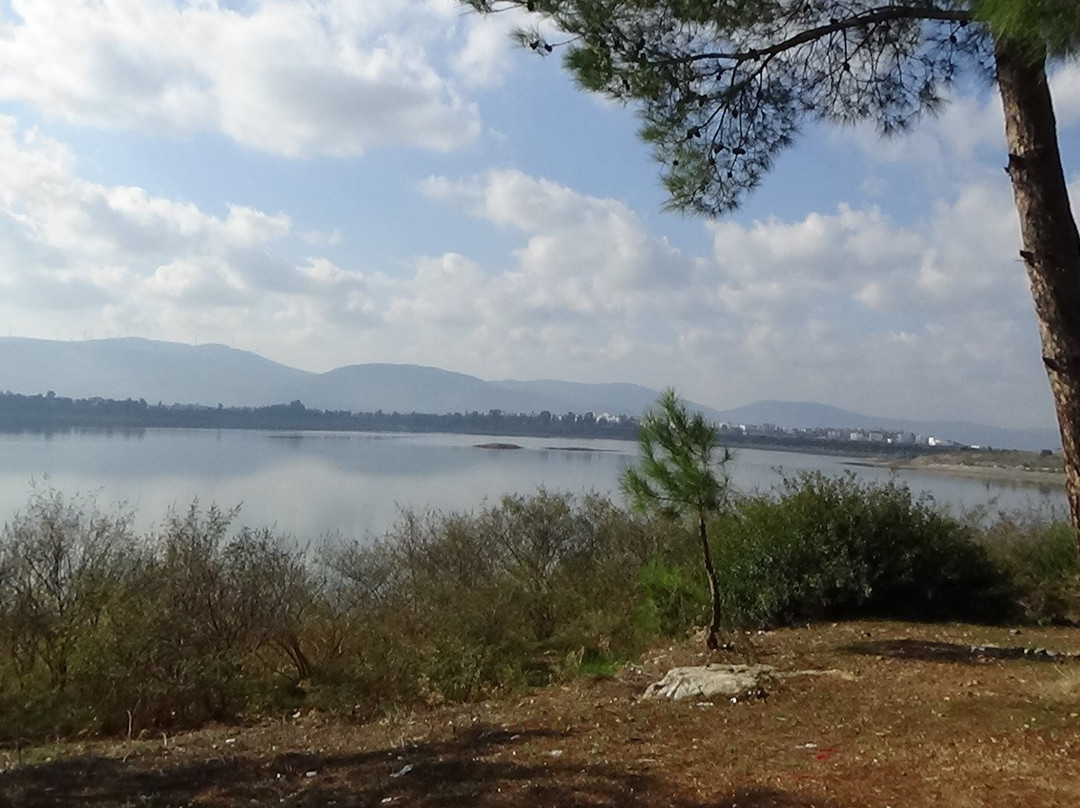 Mumcular Dam-蒙朱拉尔必去景点