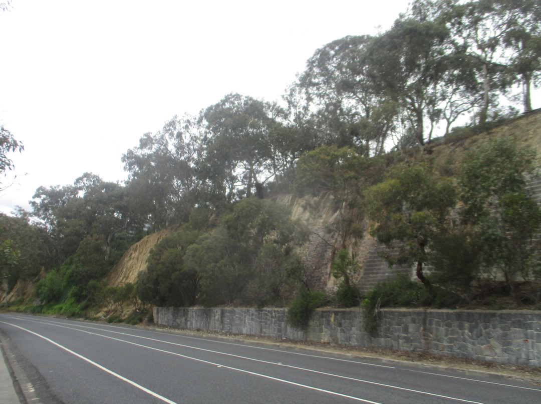 Yarra Bend Park-费尔菲尔德必去景点