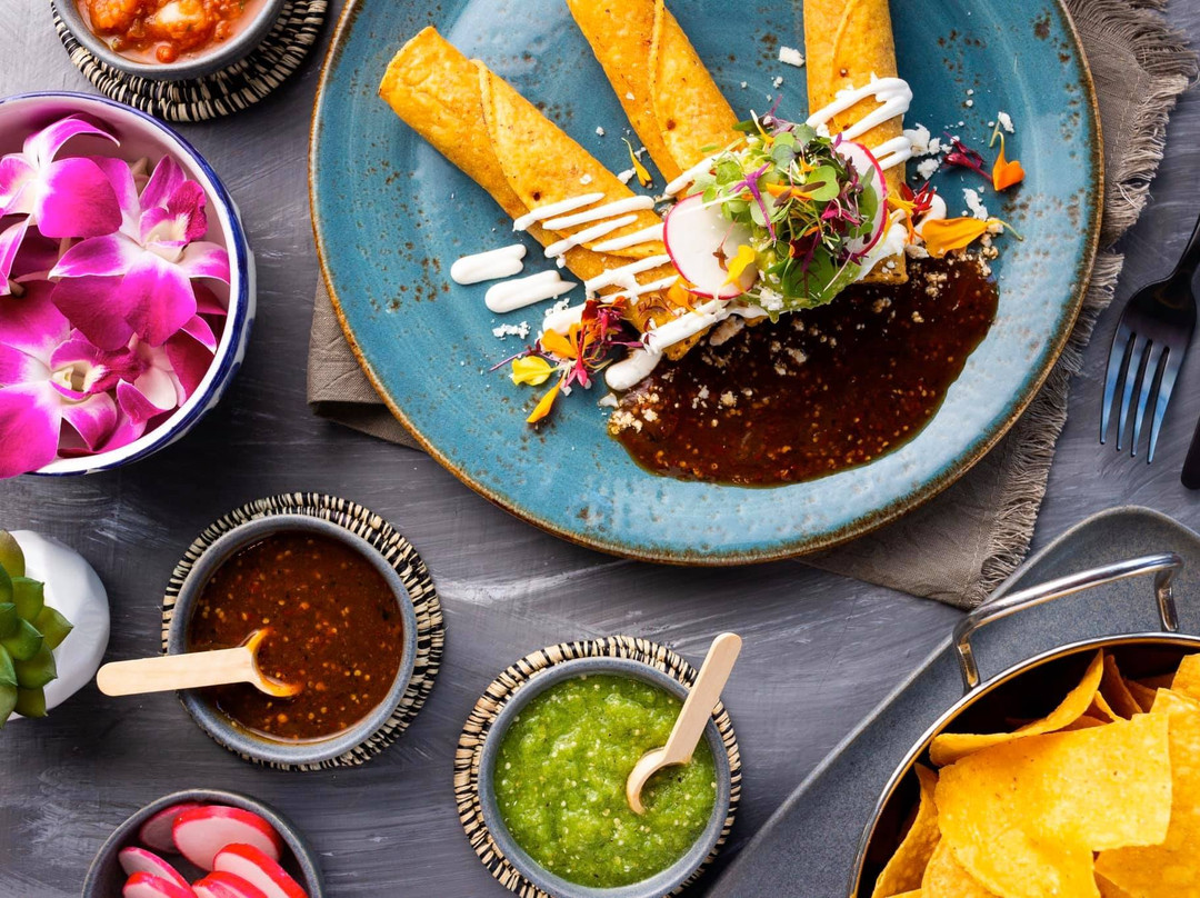 Winter Springs餐馆和美食-Agave Azul Cocina Mexicana - Winter Springs