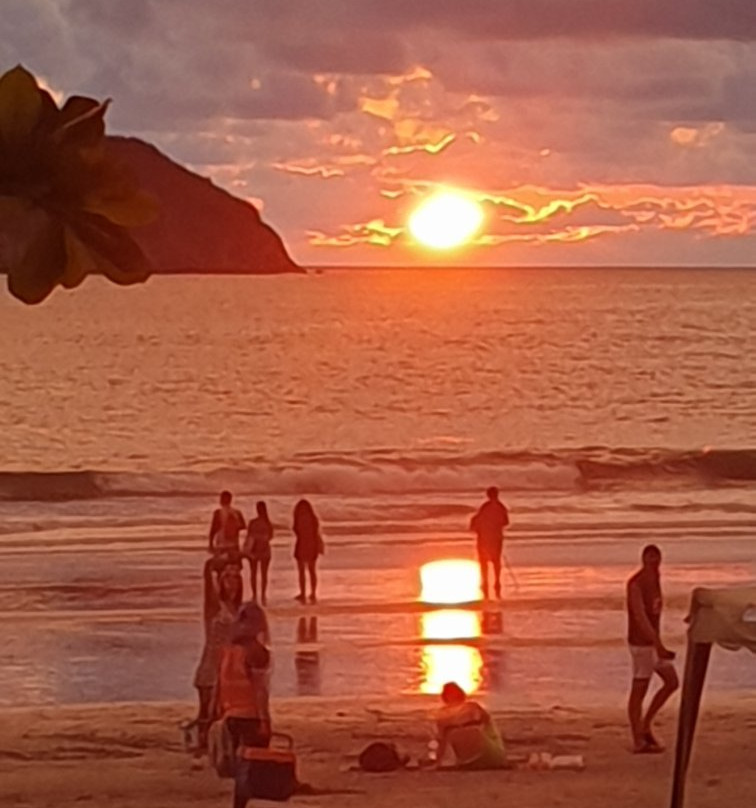 Hotel Villa Romantica主图