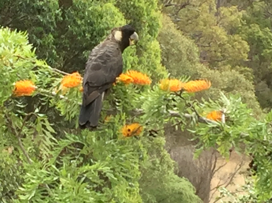 Riverwood Retreat主图