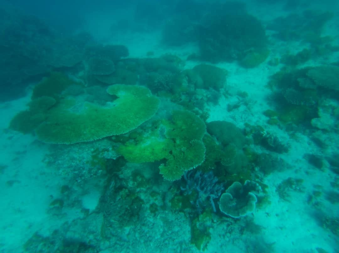 Scuba Do Zanzibar-Kendwa必去景点