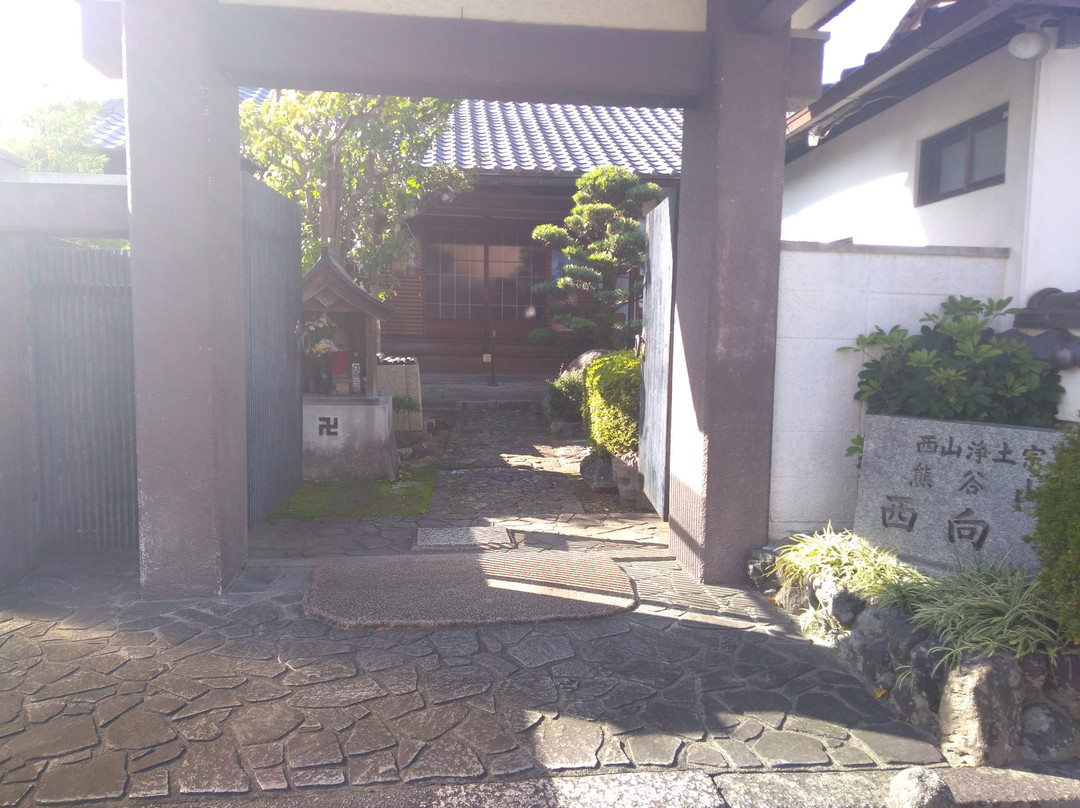 Saikoji Temple景点图片